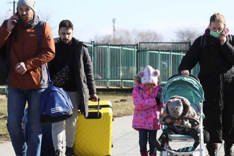 Українці в Норвегії можуть втратити посвідку на проживання: причини