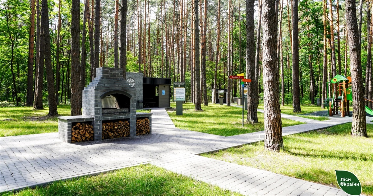 Пікнік на вихідних: одне з найпопулярніших місць відпочинку на Житомирщині — "Сосновий бір"