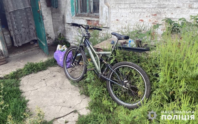 Поліцейські викрили серійного крадія