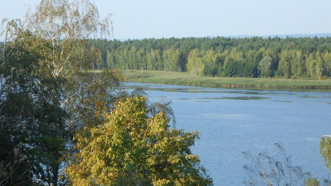 Київське підприємство планує видобувати пісок у затоці Куряче горло