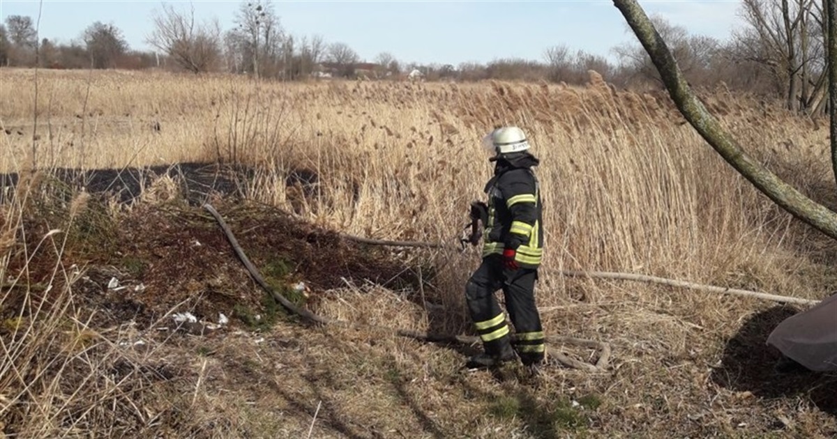 За добу на Переяславщині сталися дві пожежі: горіли суха трава та очерет