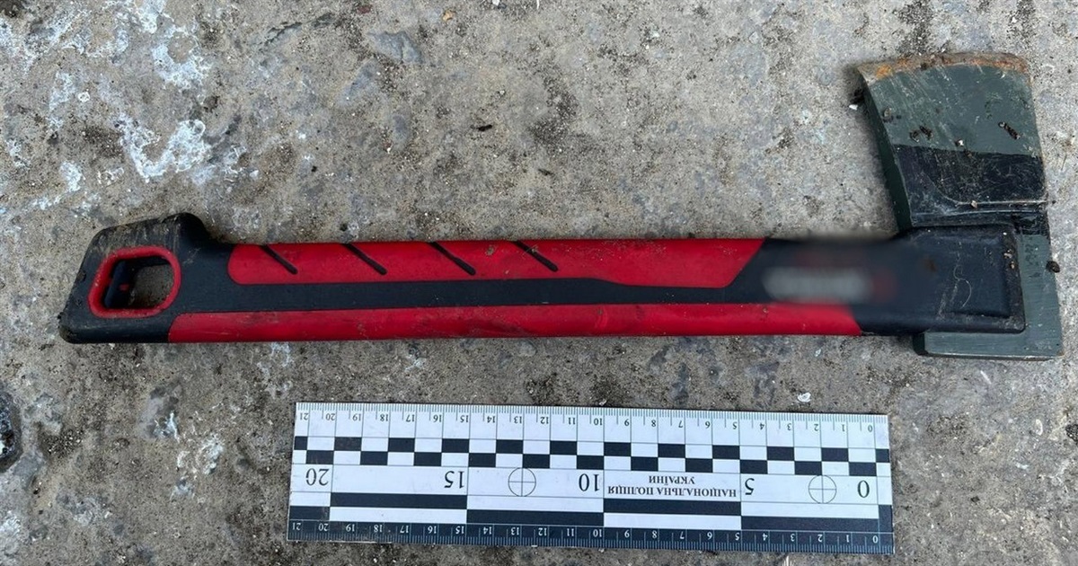 Мешканець Ізмаїла сяде до в’язниці за те, що намагався сокирою розбити товаришу голову