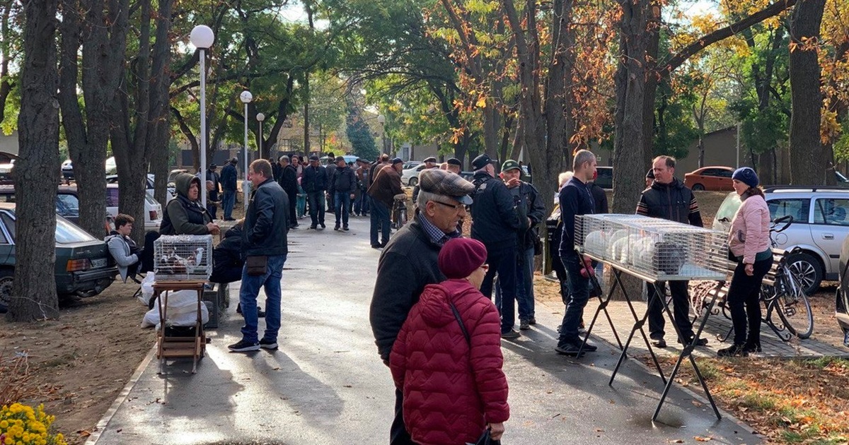 В Измаиле открылась традиционная осенняя выставка-ярмарка домашних животных и птиц