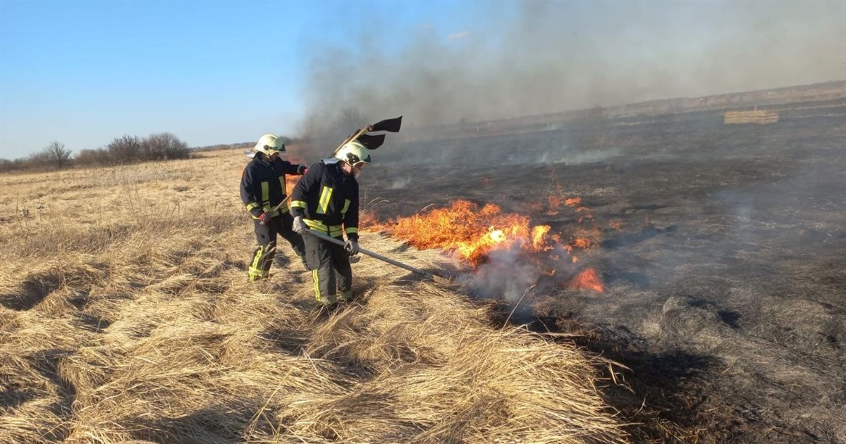 На Переяславщині за добу сталися шість пожеж, горіла суха трава ФОТО