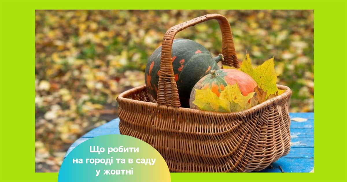 Місячний посівний календар на жовтень 2025 — які роботи запланувати на городі та в саду