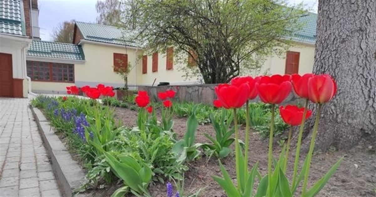 Музей Лесі Українки у Новограді-Волинському: як працює заклад в умовах воєнного стану