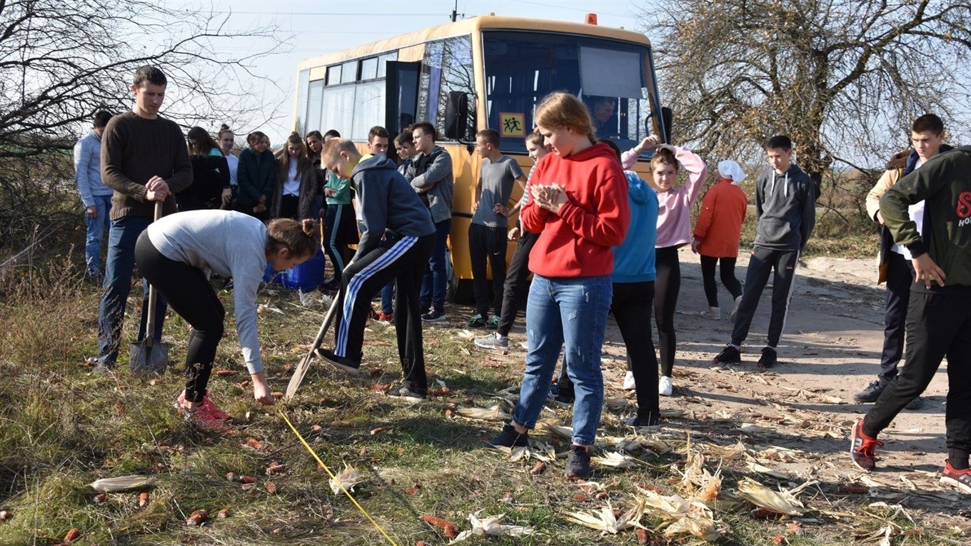 У Городці під час проведення акції «Посади і збережи дерево» місцеві школярі висаджували каштани