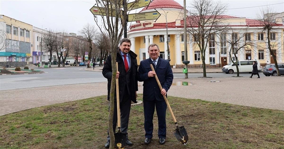 Міський голова та голова Офісу Ради Європи в Україні посадили в центрі Звягеля дерево