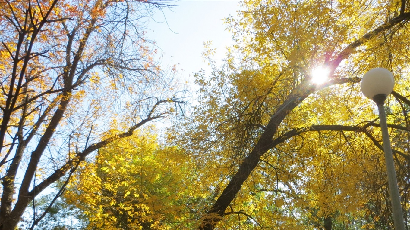 5 фактов о парке имени П.П. Шмидта 
