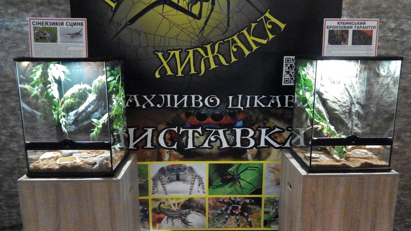 Доторкнись до хижака