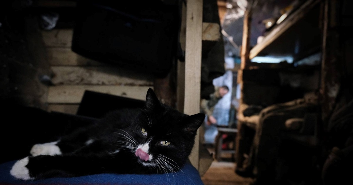 Між напругою і тишею: буденні миті захисників з 30 ОМБр на фронті