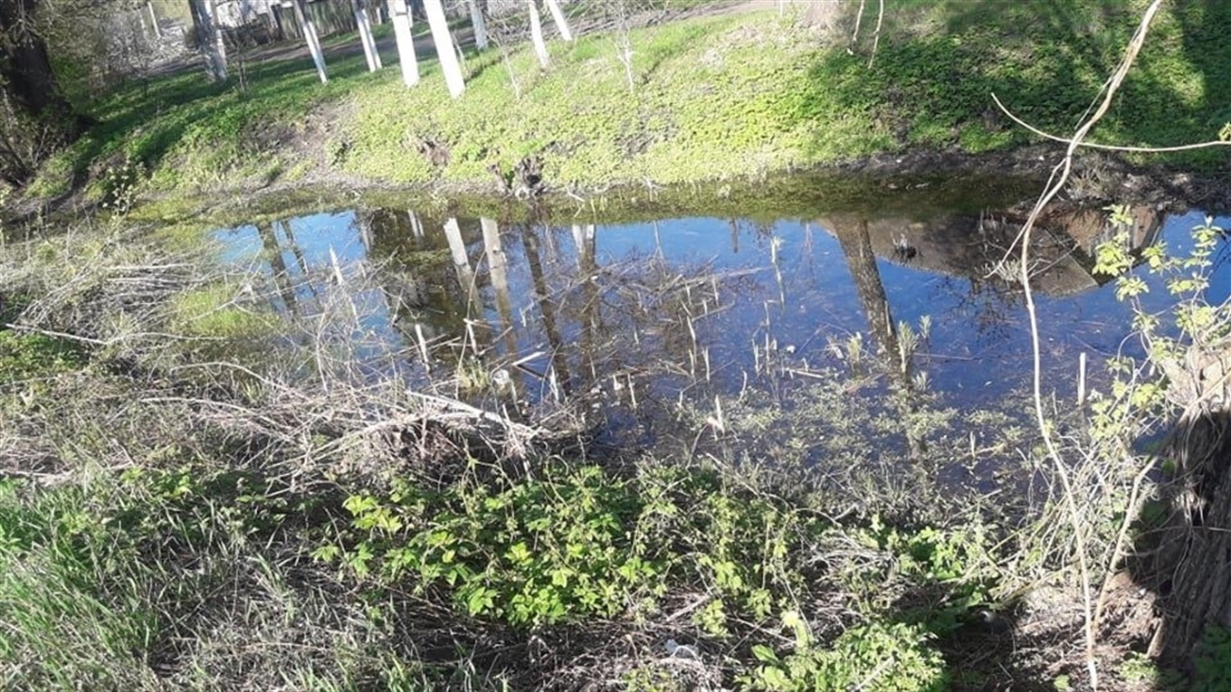 Водні ресурси – не безмежні. Користуймося ними розумно!