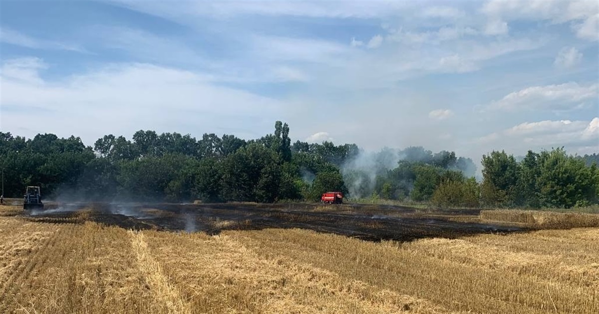У селі Переяславської громади горіла стерня: ФОТО, ВІДЕО з місця події