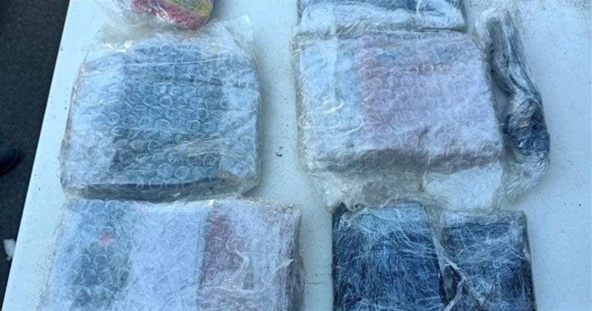 20 мобільних телефонів намагались передати до СІЗО, сховавши їх у холодильник