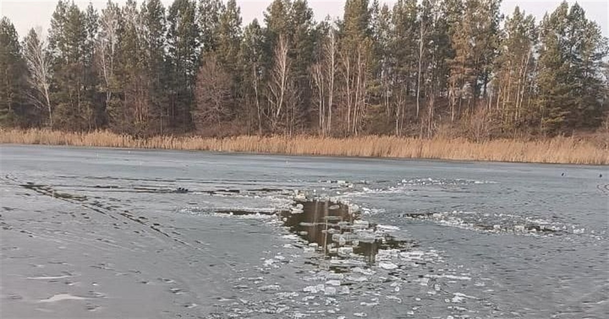 Двоє чоловіків провалилися під кригу на Житомирщині: їх врятували перехожі та бійці ДСНС