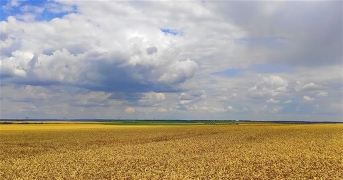 З 2025 року всі невитребувані паї будуть визнані безгоспними. Чи продовжать строк до кінця війни?