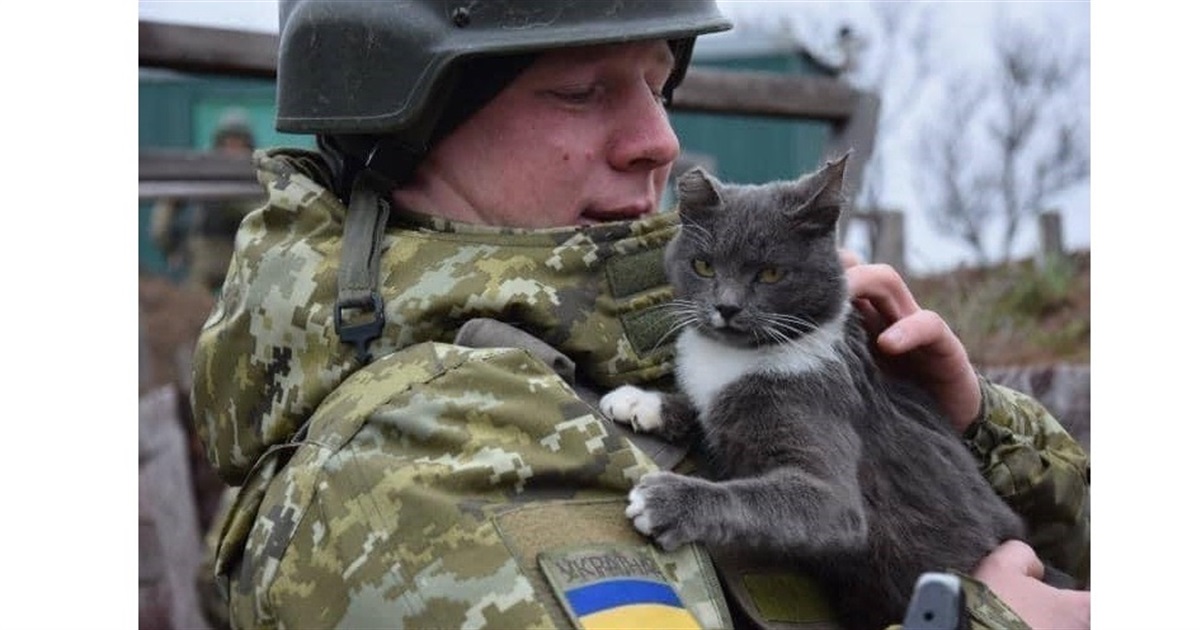 2 квітня: вся Київська область звільнена від окупантів!