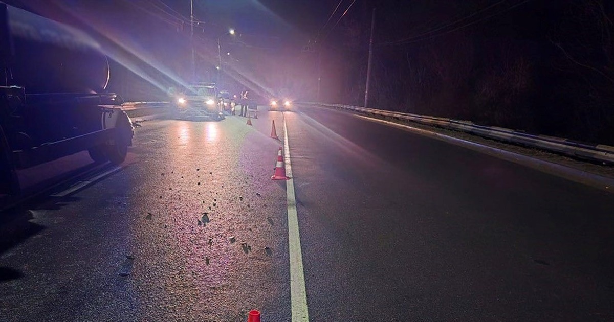 У Житомирі під колесами автівки загинув житель Звягельщини