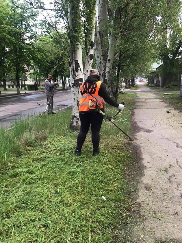 У Покровську триває покіс трави