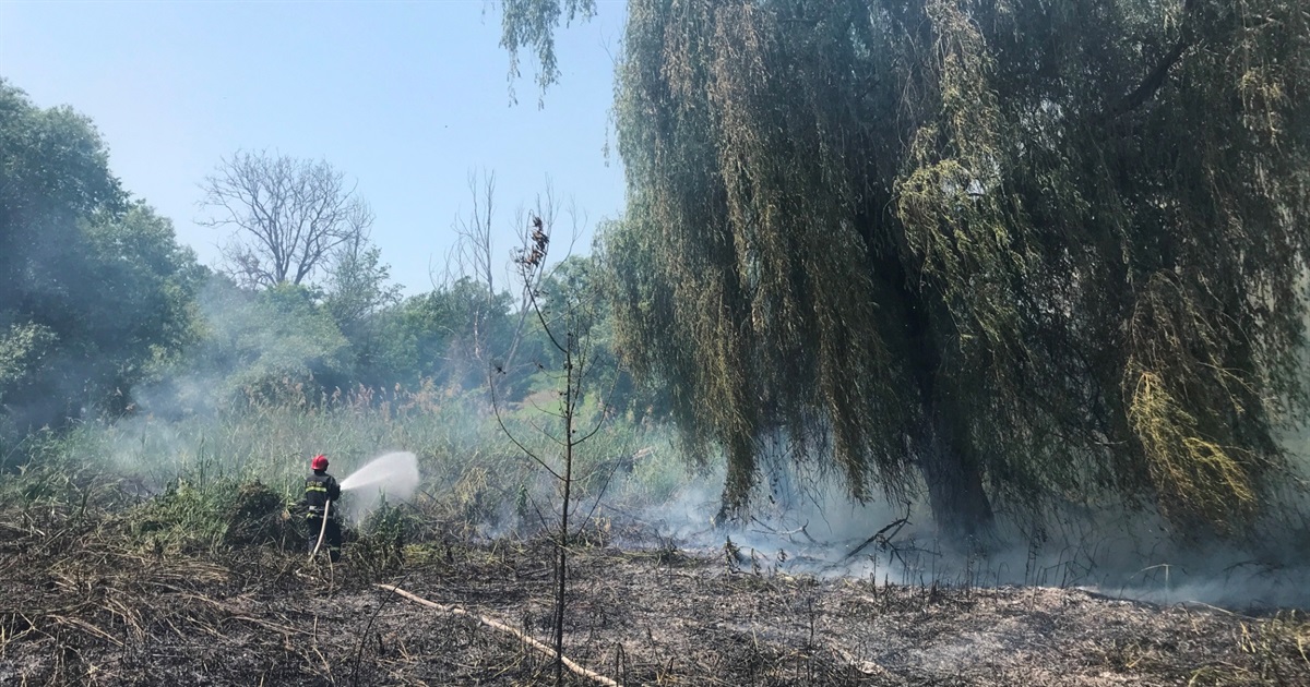 Спека і пожежа: у Кагарлику горіла бережина неподалік Могили