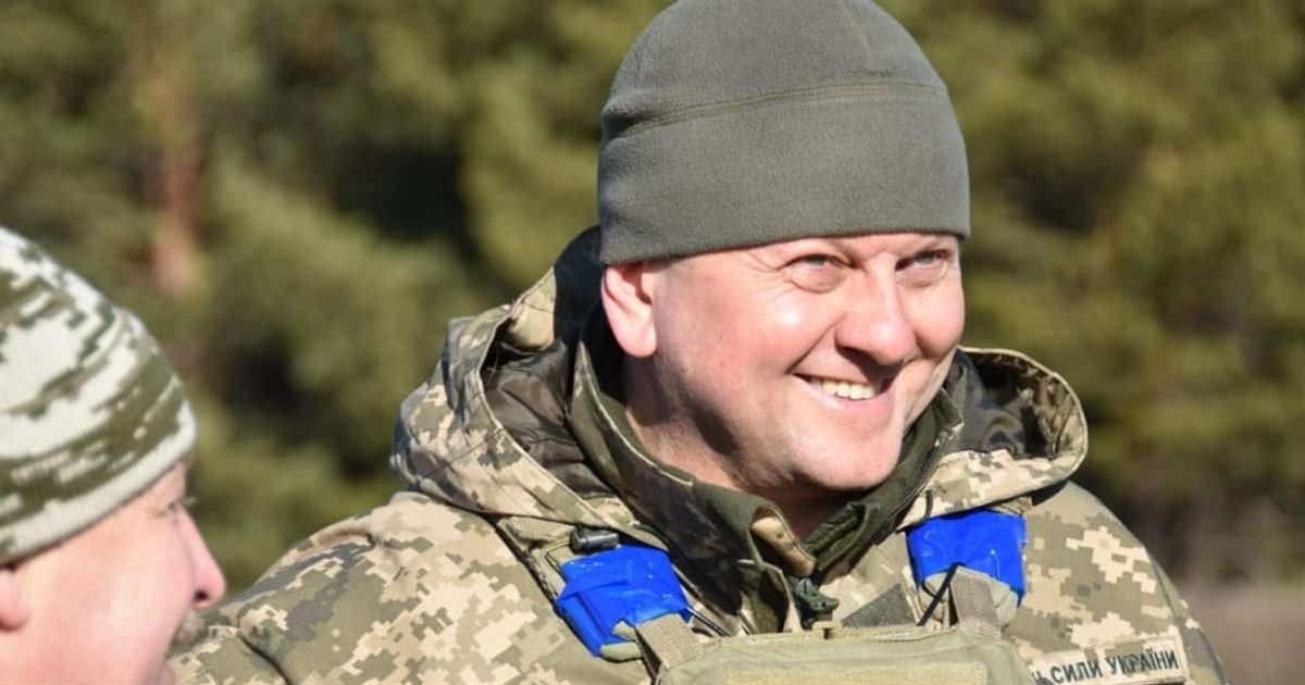 Валерій Залужний показав, як "тридцятка" нищить ворога: фото