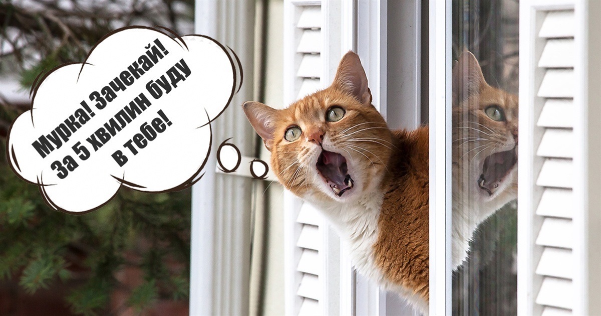 Останній ранок зими буде туманним: прогноз погоди на Сумщині та в Україні