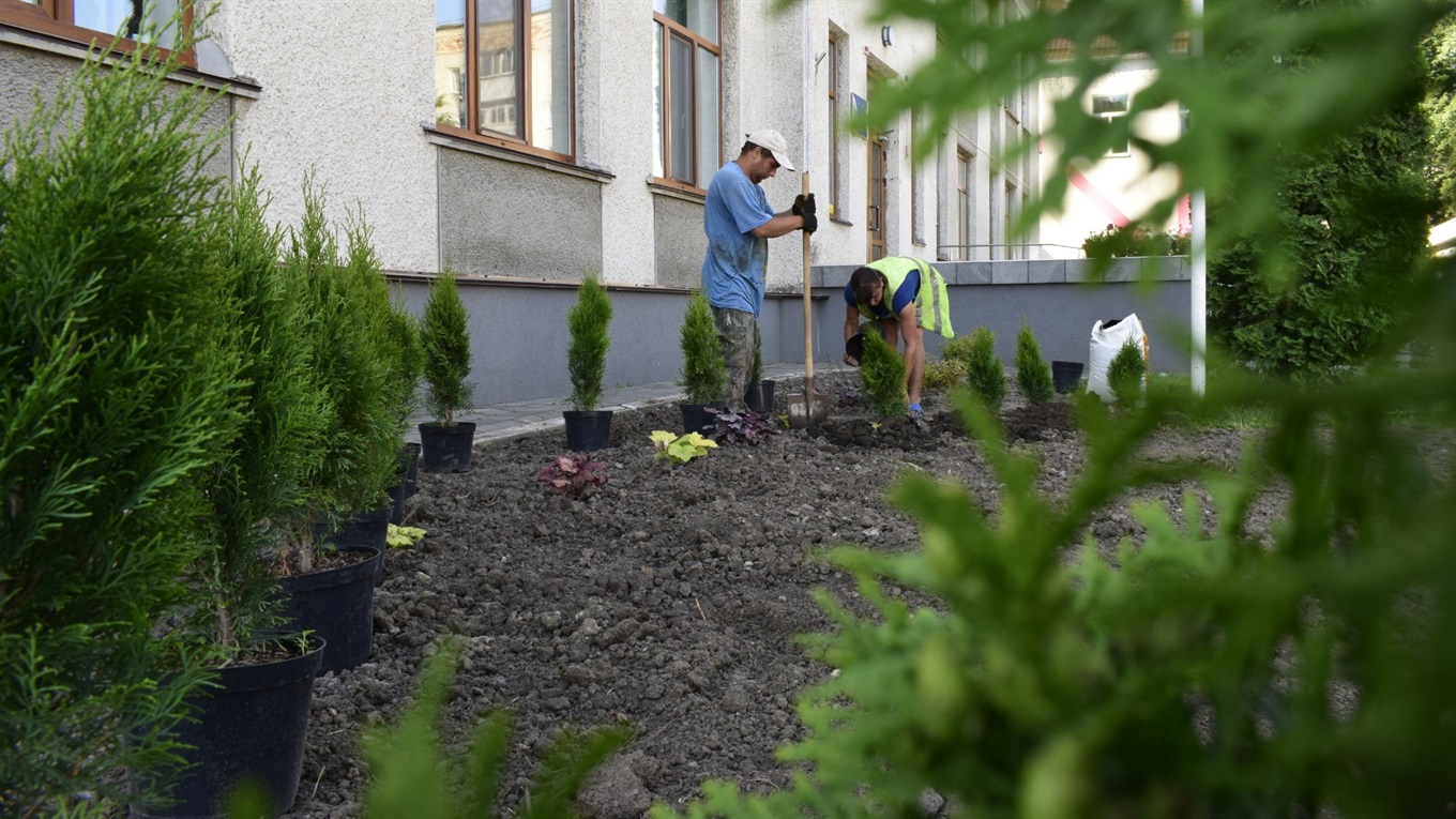 Альпійські гірки та декоративні туї: у Жмеринці триває озеленення 