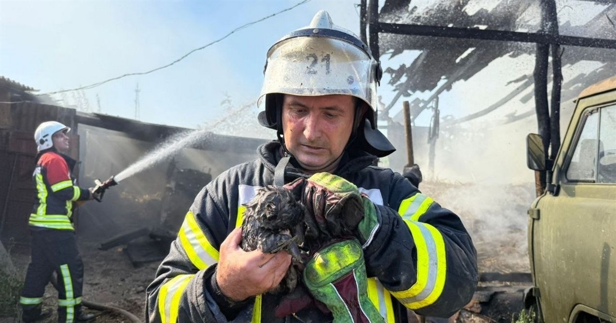 Кожне життя – важливе: з вогню пожежні врятували цуценя