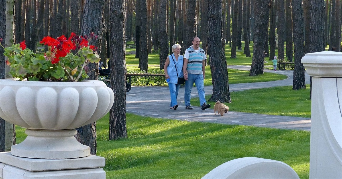 У парках Ірпеня зʼявиться безплатний Wi-Fi