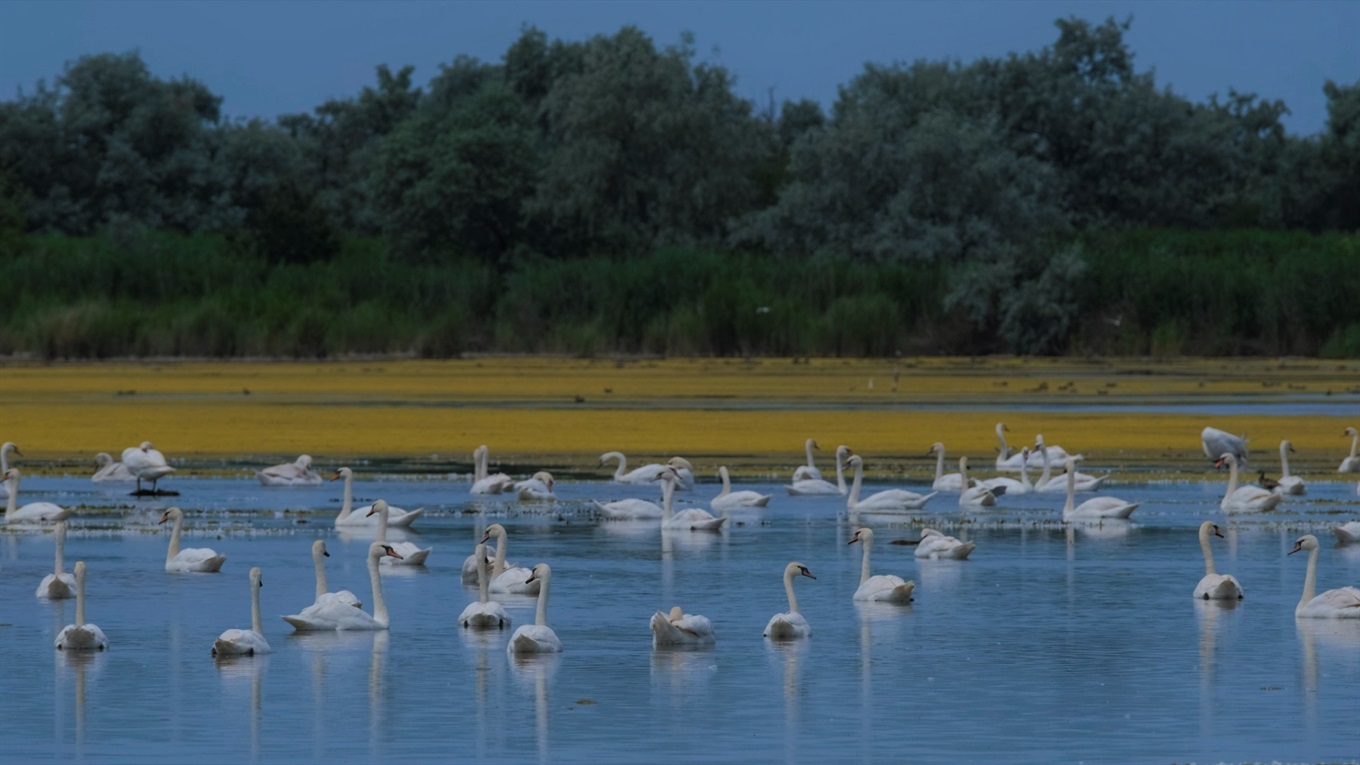 Шість цікавих фактів про Дністер та Нижньодністровський національний природоохоронний парк