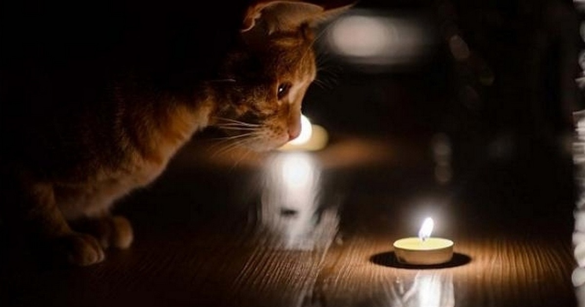 Більша частина Ізмаїла 7 лютого залишилася без світла