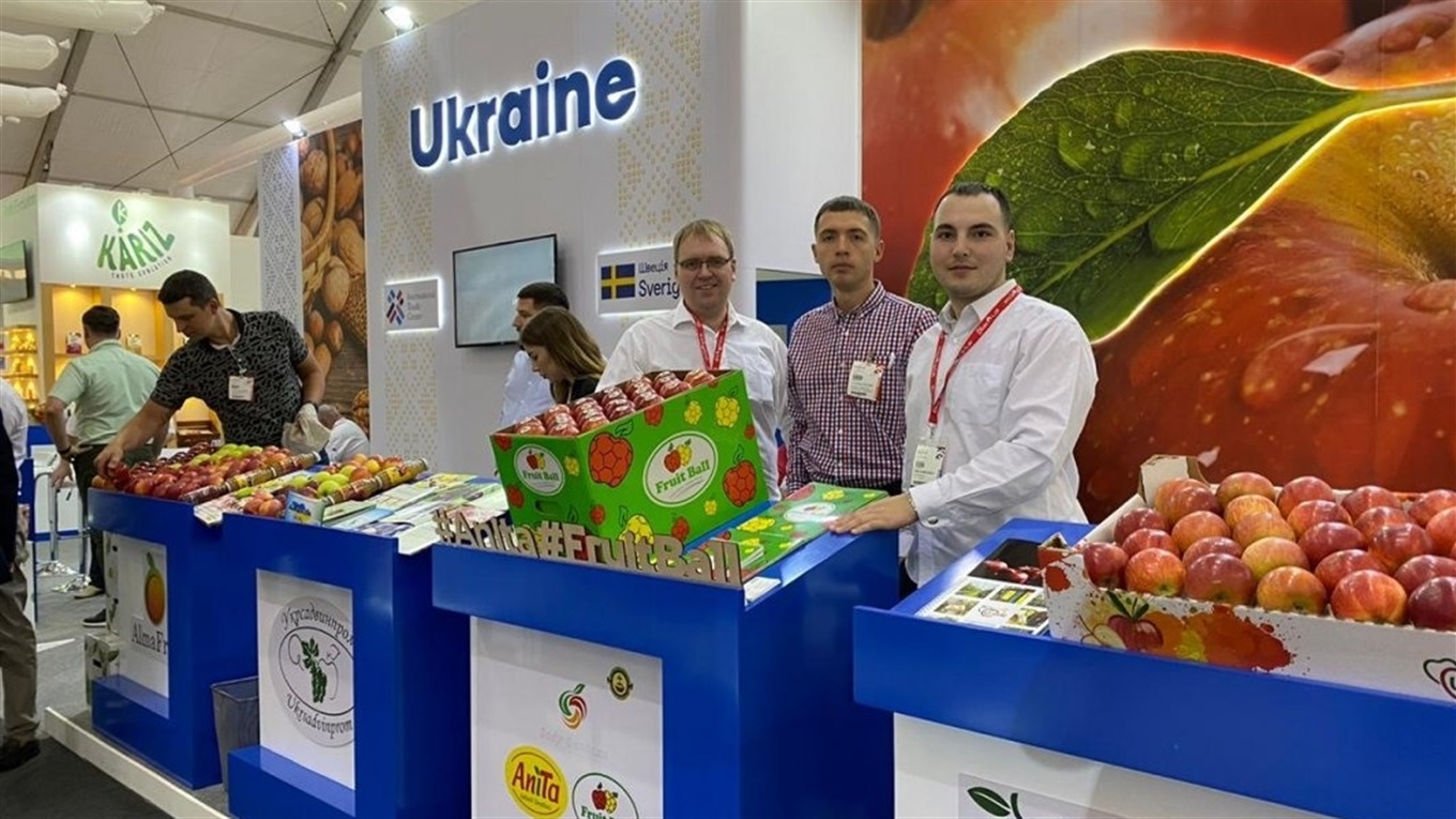 Квашеную капусту, яблоки и черешню из Донбасса хотят продавать на Ближнем Востоке