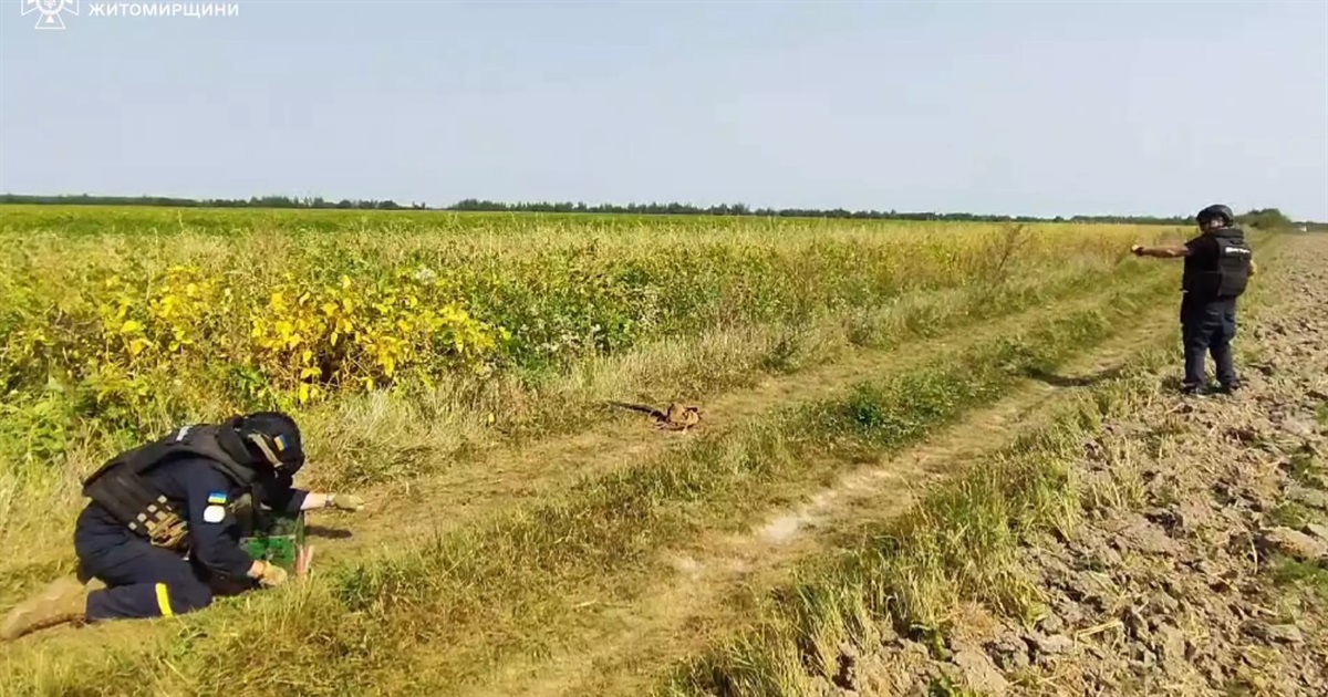 В полі на Звягельщині місцевий житель знайшов авіаційну бомбу