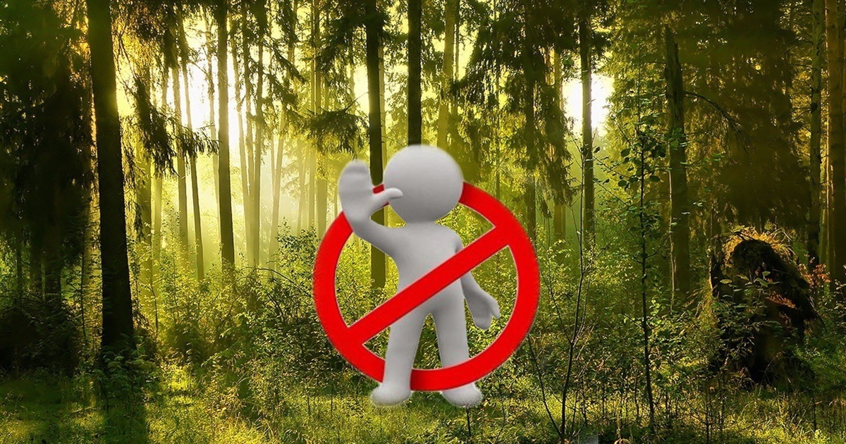 Жителям Білопільщини заборонили ходити до лісу
