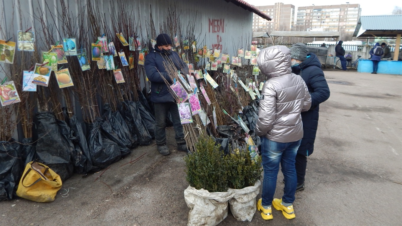 «Напишіть, що м’ясний павільйон торгує й надалі торгуватиме». Репортаж із недільного базару