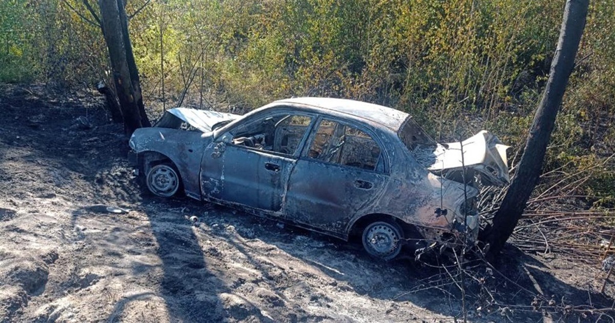 ДТП на Звягельщині: перекинувся та спалахнув автомобіль
