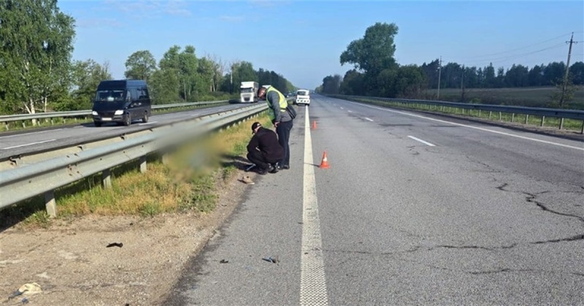 Водій вантажівки збив чоловіка на трасі та втік у напрямку Звягеля
