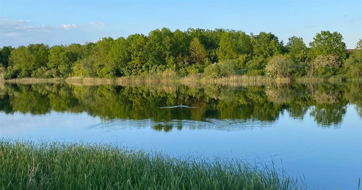 Держреєстратора на Звягельщині підозрюють у незаконному переоформленні державної землі