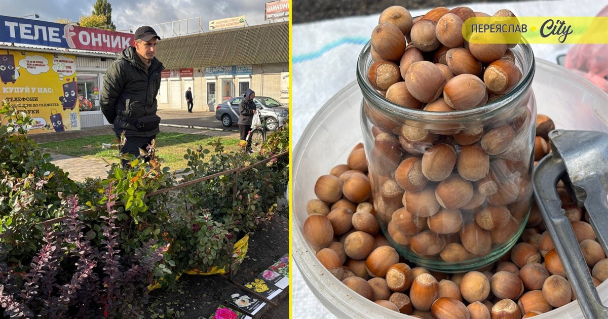 На базарі в Переяславі горіхи ліщини продавали по 50 гривень, а корінь петрушки – по 100