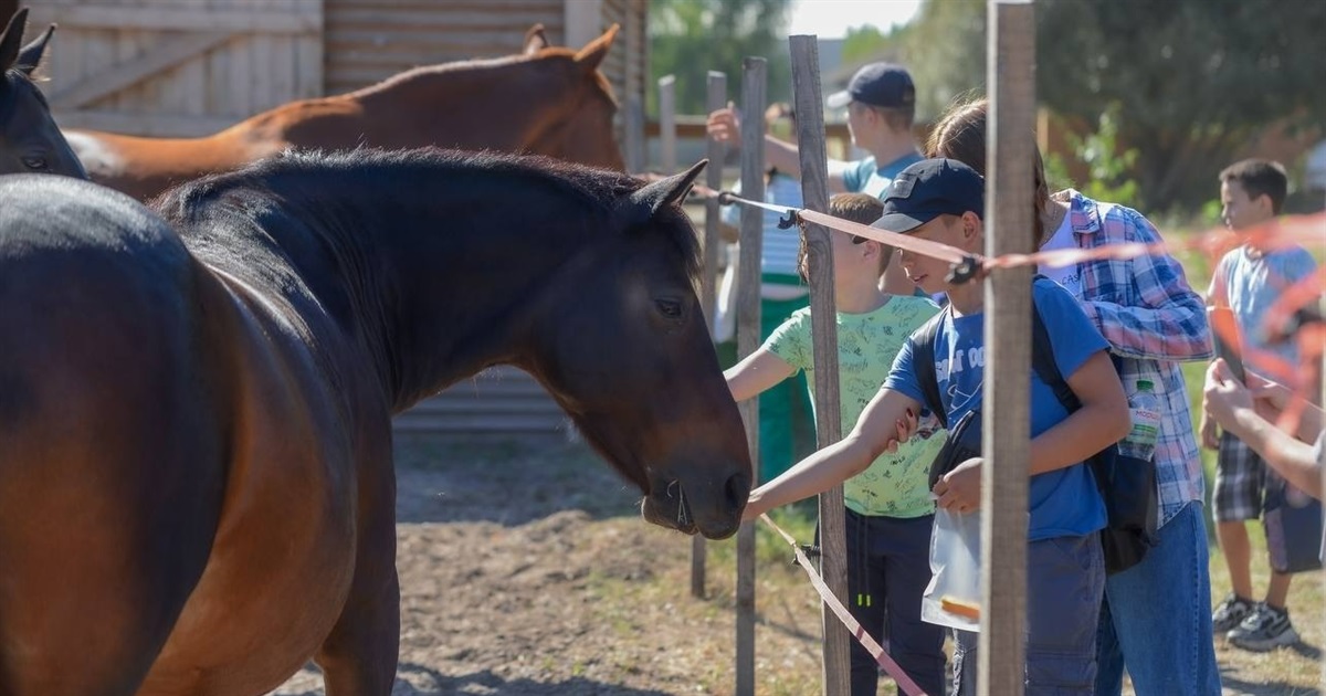 Усі коні з ранчо Horse Paradise вижили під обстрілами. Ми лікуємо їх, а вони — людей