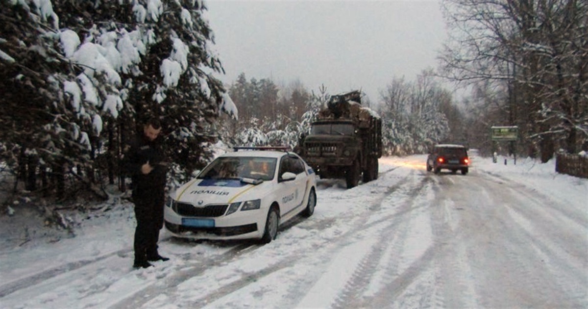 На Звягельщині поліцейські перевіряють законність транспортування лісопродукції