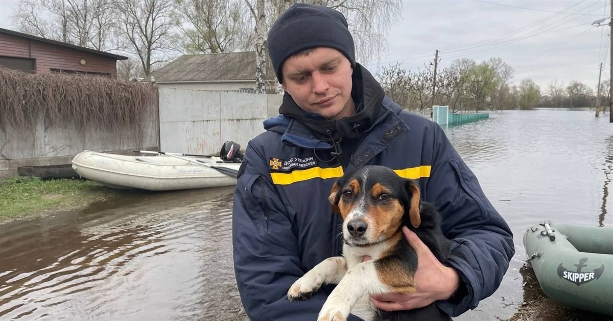 У Київській та ще чотирьох областях масштабні підтоплення, рятувальники евакуюють людей
