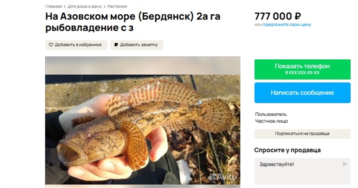 На російському сайті оголошень Авіто продають шматок Азовського моря у Бердянську
