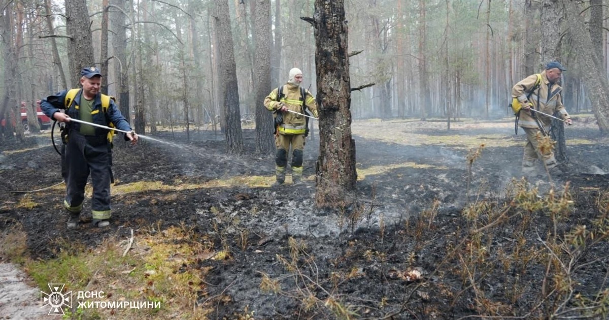 Горить Поліський природний заповідник на Житомирщині: площа пожежі поступово зменшується