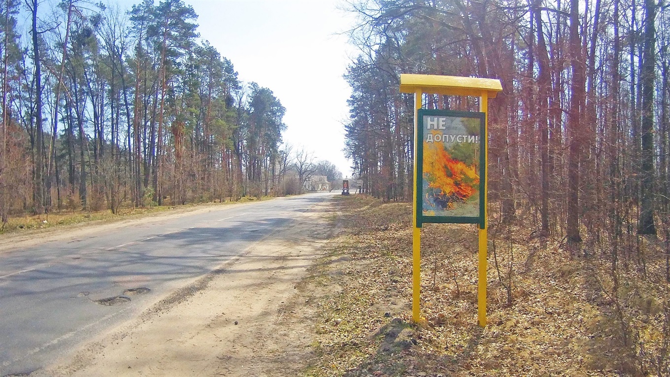 Почався пожежонебезпечний період-2021. Лісівники розказали про загрози для лісу і кари для паліїв