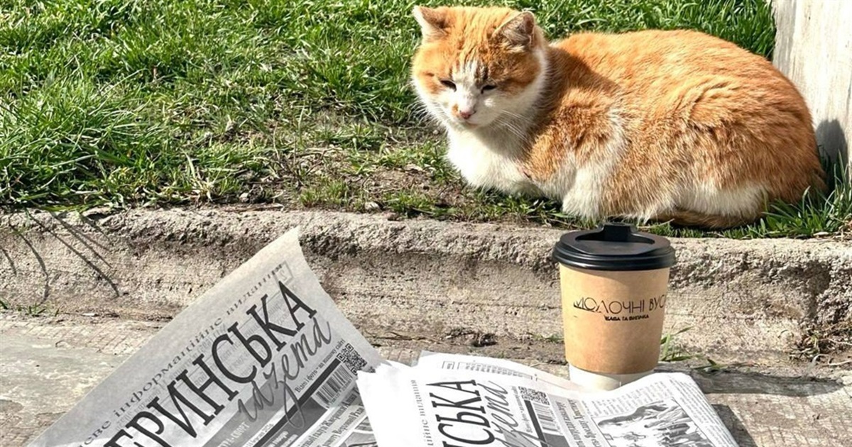 Робота у Жмеринці: актуальні вакансії на 31 березня