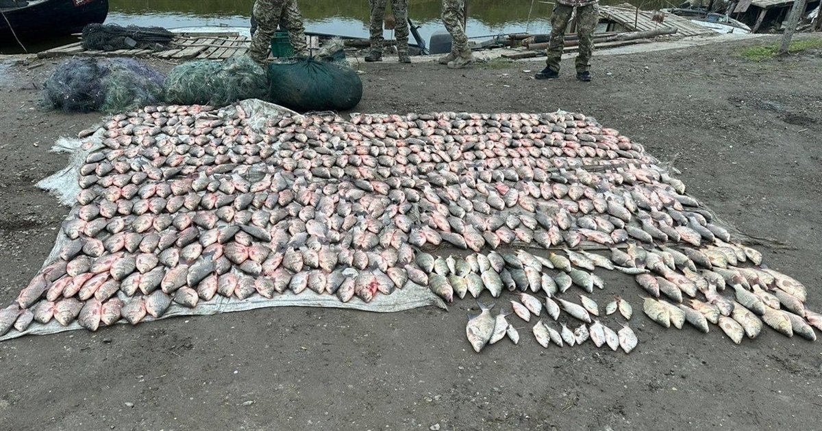 Ізмаїльські прикордонники за добу затримали браконьєрів із загальним уловом на 2,5 мільйони гривень
