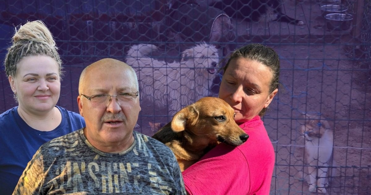 Ми нікого не залишили на вулиці. Як мирноградські зооволонтери рятують тварин зі всієї Донеччини