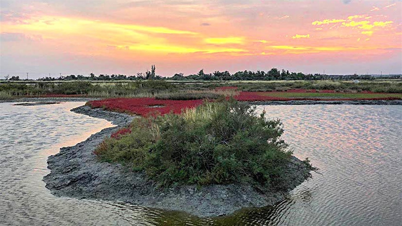 Блокнот краеведа. Солончаки в Бердянске