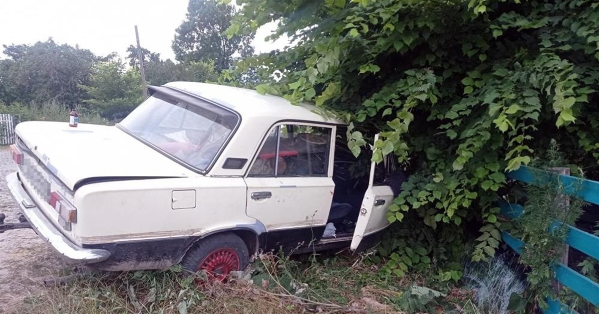 Не втримав автівку на автошляху та зіткнувся з деревом: на Новоград-Волинщині трапилася ДТП
